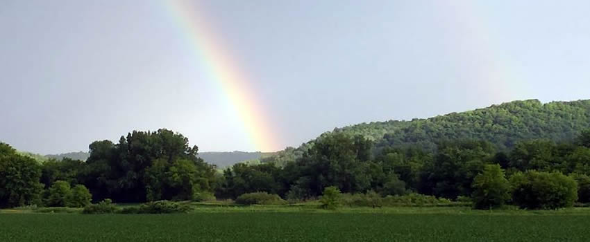 Rushford Village